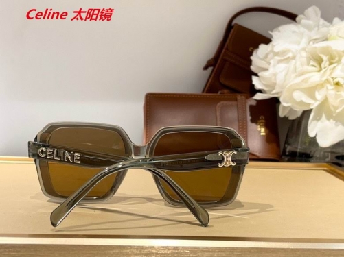 C.e.l.i.n.e. Sunglasses AAAA 4383