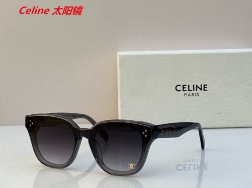 C.e.l.i.n.e. Sunglasses AAAA 4821