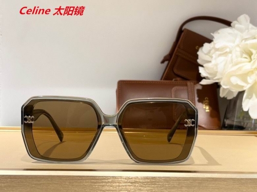 C.e.l.i.n.e. Sunglasses AAAA 4389