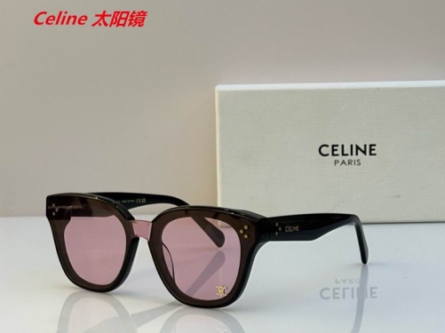 C.e.l.i.n.e. Sunglasses AAAA 4823