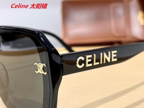 C.e.l.i.n.e. Sunglasses AAAA 4403