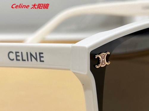 C.e.l.i.n.e. Sunglasses AAAA 4003