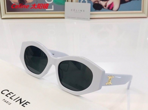 C.e.l.i.n.e. Sunglasses AAAA 4166