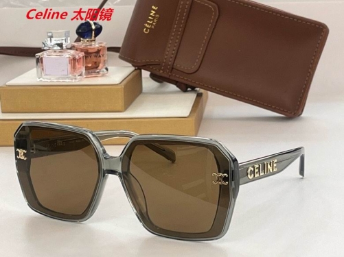 C.e.l.i.n.e. Sunglasses AAAA 4913