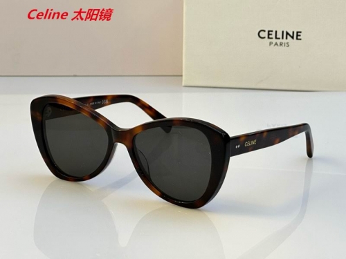 C.e.l.i.n.e. Sunglasses AAAA 4856