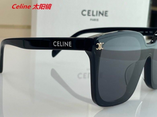 C.e.l.i.n.e. Sunglasses AAAA 4029