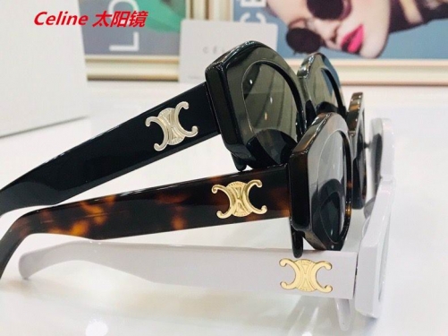 C.e.l.i.n.e. Sunglasses AAAA 4163