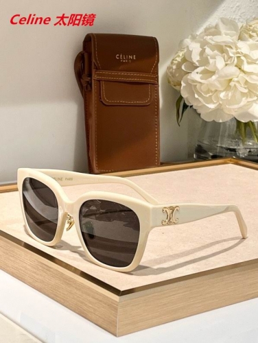 C.e.l.i.n.e. Sunglasses AAAA 4805