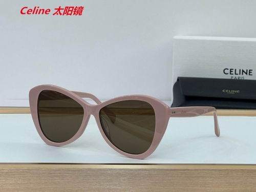 C.e.l.i.n.e. Sunglasses AAAA 4889