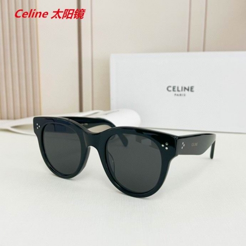 C.e.l.i.n.e. Sunglasses AAAA 4567