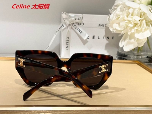 C.e.l.i.n.e. Sunglasses AAAA 4705