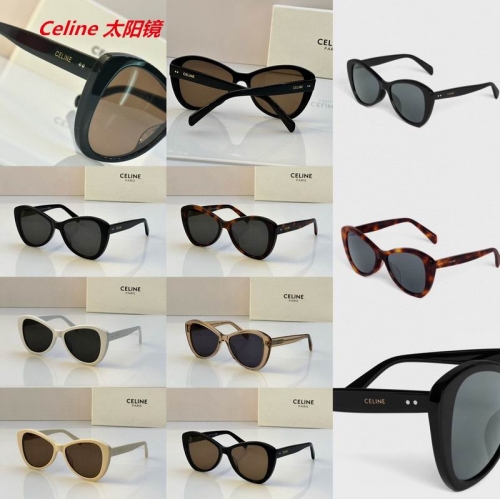 C.e.l.i.n.e. Sunglasses AAAA 4851