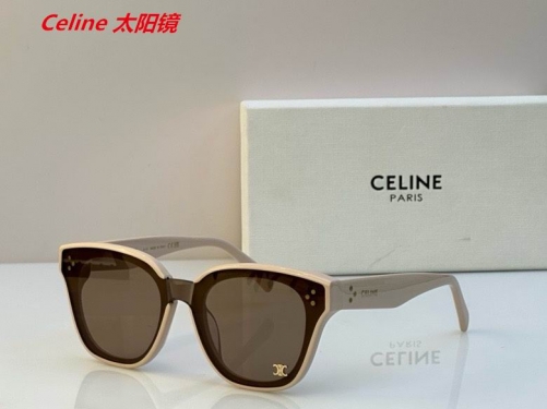 C.e.l.i.n.e. Sunglasses AAAA 4818