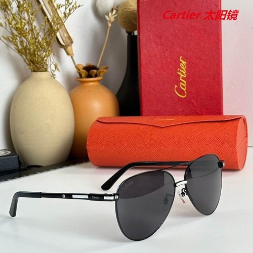 C.a.r.t.i.e.r. Sunglasses AAAA 4169