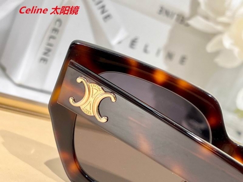 C.e.l.i.n.e. Sunglasses AAAA 4706