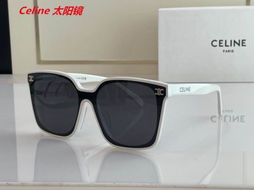 C.e.l.i.n.e. Sunglasses AAAA 4031