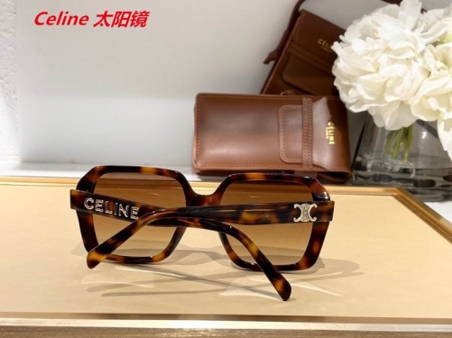 C.e.l.i.n.e. Sunglasses AAAA 4367