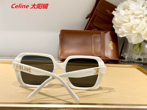 C.e.l.i.n.e. Sunglasses AAAA 4390