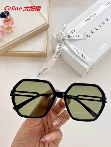 C.e.l.i.n.e. Sunglasses AAAA 4045