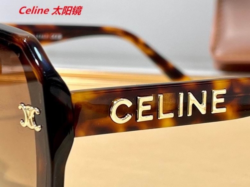 C.e.l.i.n.e. Sunglasses AAAA 4407