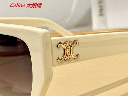 C.e.l.i.n.e. Sunglasses AAAA 4692