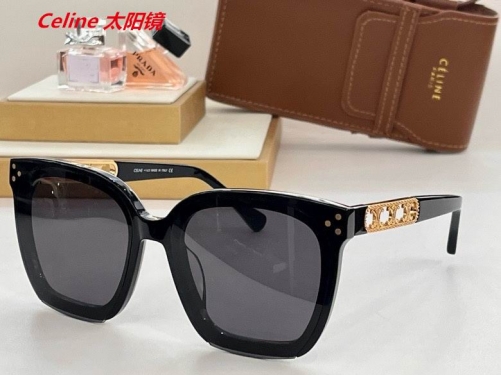 C.e.l.i.n.e. Sunglasses AAAA 4909