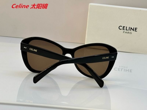 C.e.l.i.n.e. Sunglasses AAAA 4853