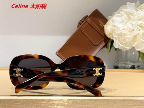 C.e.l.i.n.e. Sunglasses AAAA 4670