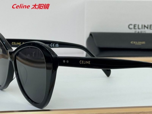 C.e.l.i.n.e. Sunglasses AAAA 4883