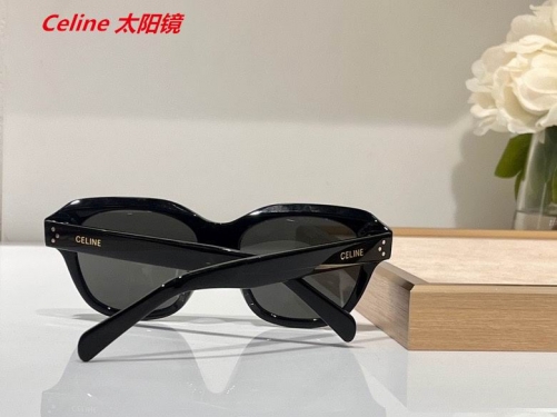 C.e.l.i.n.e. Sunglasses AAAA 4359