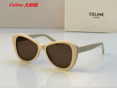 C.e.l.i.n.e. Sunglasses AAAA 4857