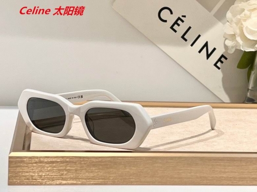 C.e.l.i.n.e. Sunglasses AAAA 4341