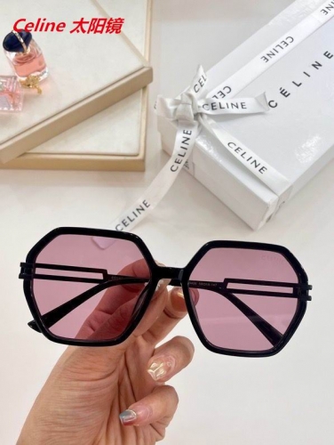 C.e.l.i.n.e. Sunglasses AAAA 4046