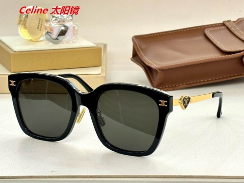 C.e.l.i.n.e. Sunglasses AAAA 4957