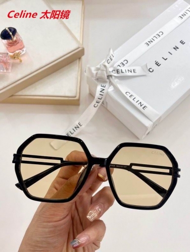 C.e.l.i.n.e. Sunglasses AAAA 4043