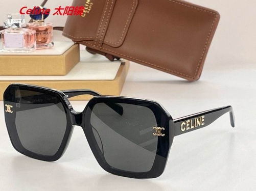 C.e.l.i.n.e. Sunglasses AAAA 4914