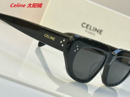 C.e.l.i.n.e. Sunglasses AAAA 4863