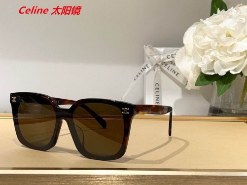 C.e.l.i.n.e. Sunglasses AAAA 4007