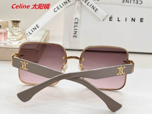 C.e.l.i.n.e. Sunglasses AAAA 4923