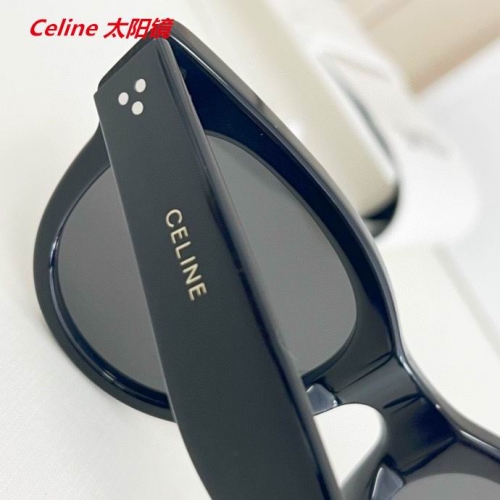 C.e.l.i.n.e. Sunglasses AAAA 4563