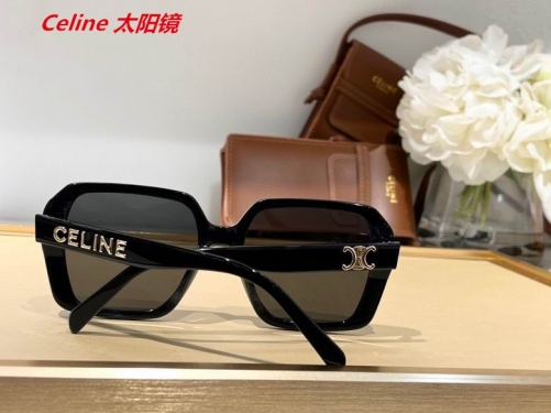 C.e.l.i.n.e. Sunglasses AAAA 4398