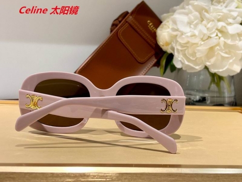 C.e.l.i.n.e. Sunglasses AAAA 4642