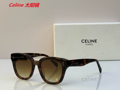 C.e.l.i.n.e. Sunglasses AAAA 4822