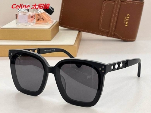 C.e.l.i.n.e. Sunglasses AAAA 4908