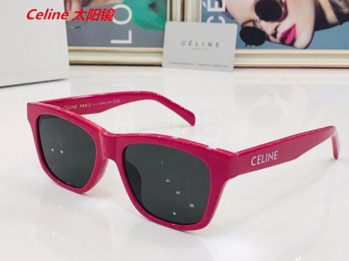 C.e.l.i.n.e. Sunglasses AAAA 4173