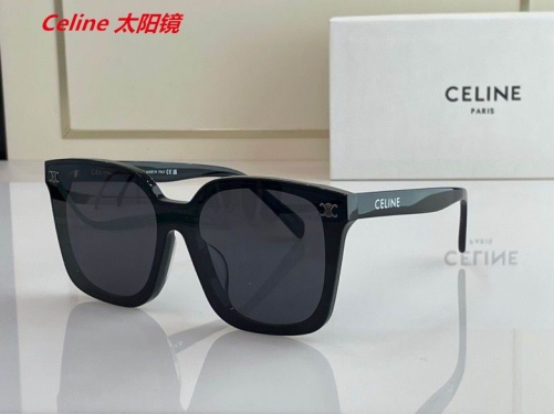 C.e.l.i.n.e. Sunglasses AAAA 4033