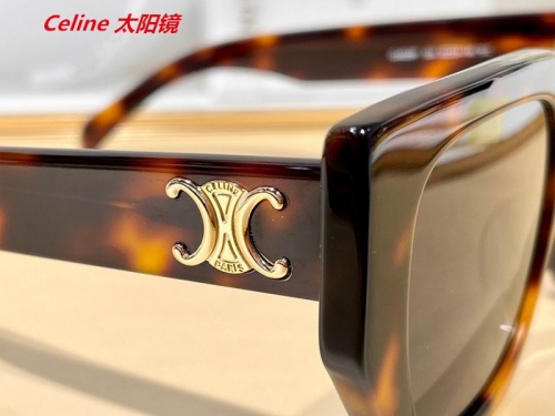 C.e.l.i.n.e. Sunglasses AAAA 4707