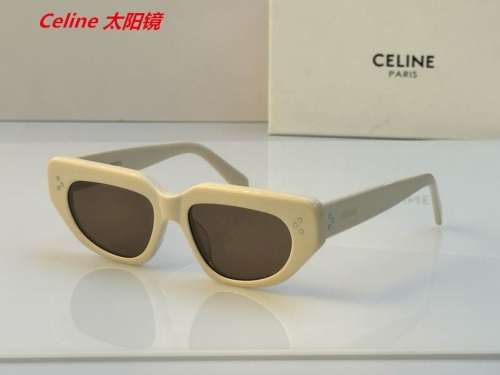 C.e.l.i.n.e. Sunglasses AAAA 4867