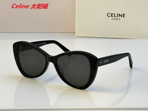 C.e.l.i.n.e. Sunglasses AAAA 4860