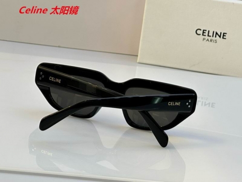 C.e.l.i.n.e. Sunglasses AAAA 4862